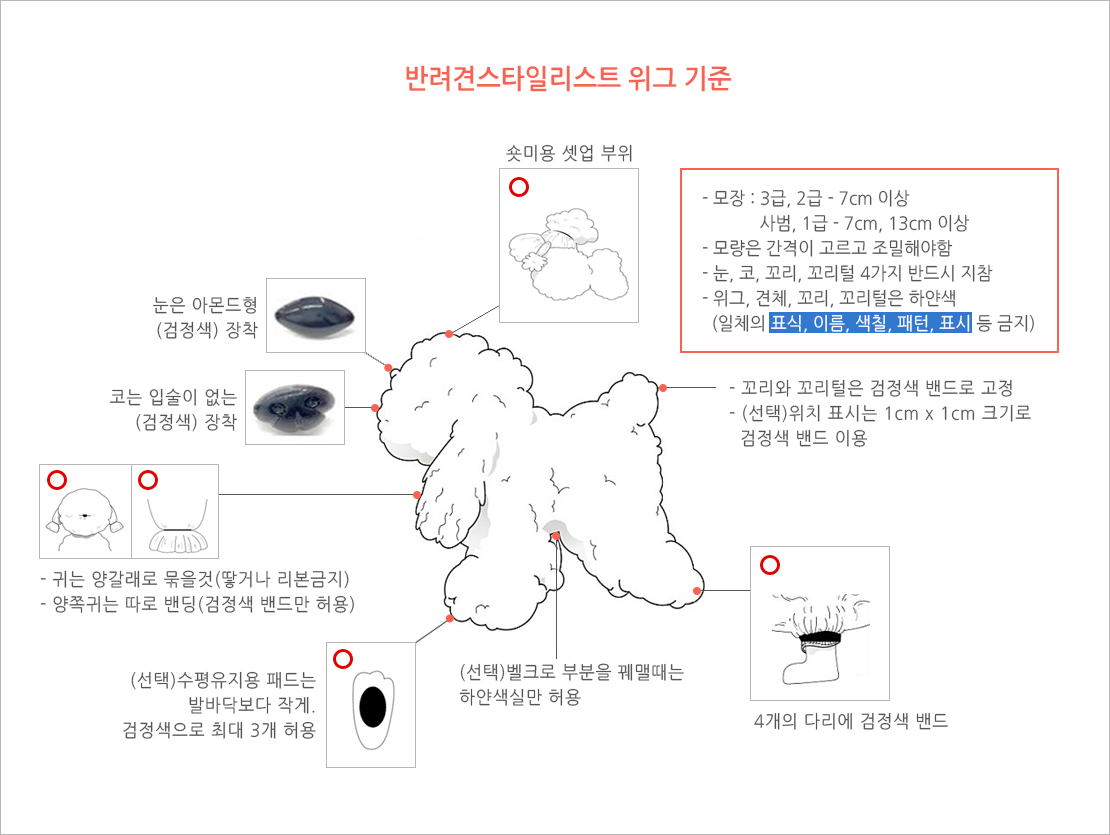 이정민애견미용학원 이미지